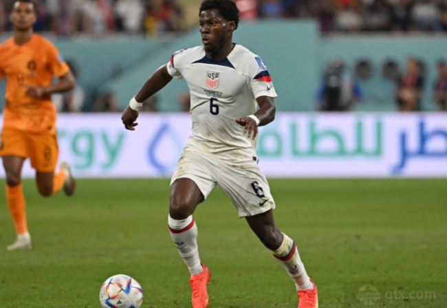 今年在冰雪 今年在冰雪